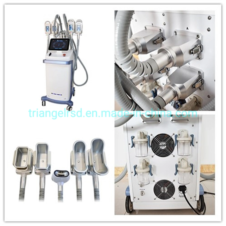 Venda a quente de refrigeração 360 Graus 5 processa Cryo lipólise equipamento da máquina