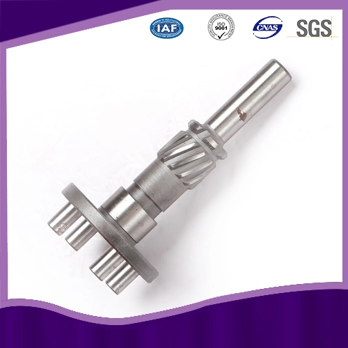 Stainless Steel Worm Gear Shaft with ISO 9001 Approved