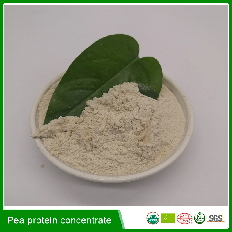 Food Grade Free Sample Non-GMO Organic Pea Fiber for Nutrition Enhancers