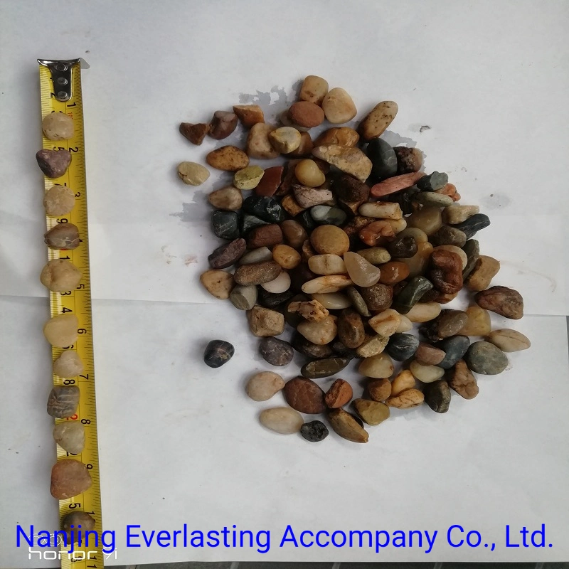 Washed Pea Gravel Polsihed Bean Pebble Stone Plant Filler Landscaping River Rock