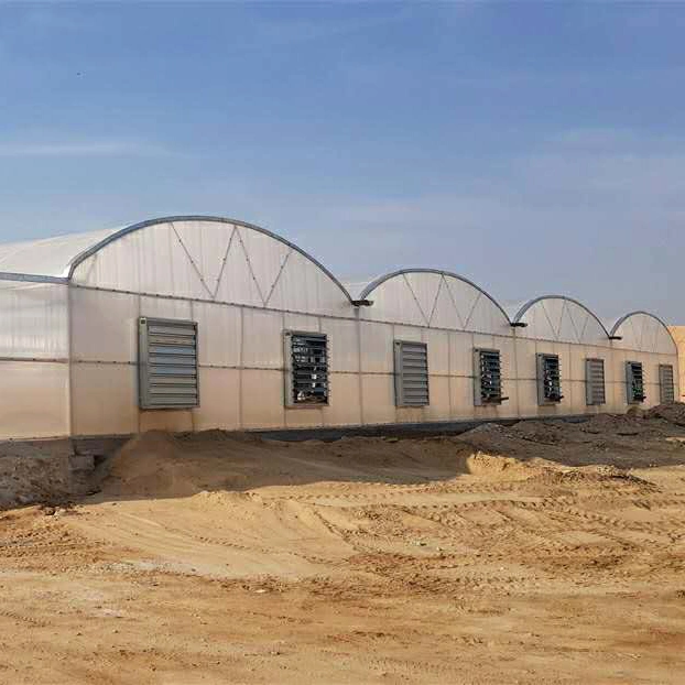 2023 China Supply Agricultural Polycarbonate Greenhouse for Middle East Countries