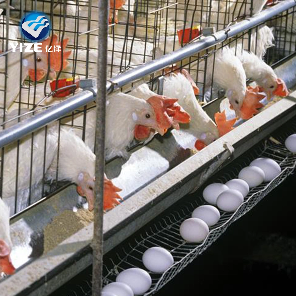 Cage de poulet portable poulet Coop poulet matériel agricole à vendre