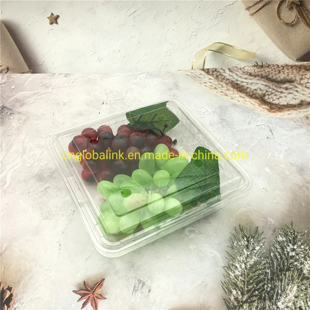 Caixa de embalagem de fruta em plástico descartável Embalagem de Morango Punts 500 gramas