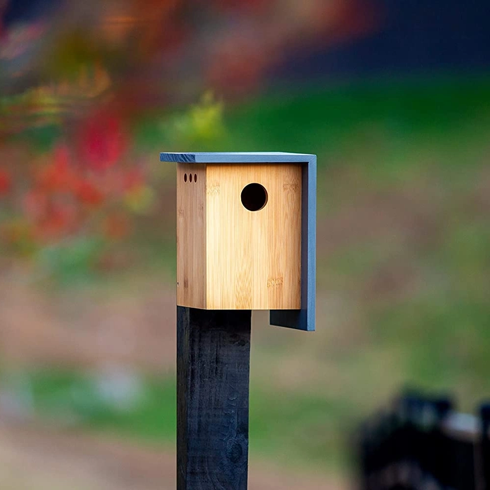 Diseño de Moda resistente Madera de aves caja de anidación Colgante Bird House Para el jardín