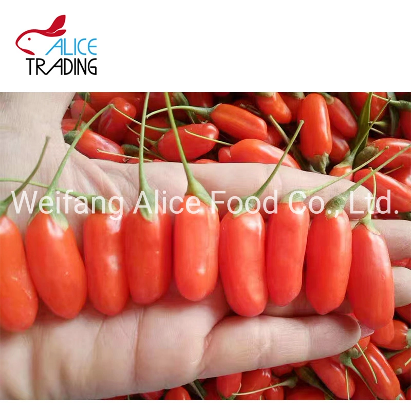 Long Shape and Sweet Taste Health Food Produced From China Dried Goji Berry