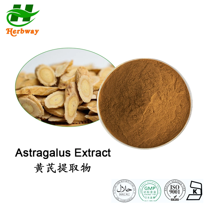 Herbway Kosher Halal FSSC HACCP Certified Botanical Extract Polysaccharide Astragalus Root-Extrakt