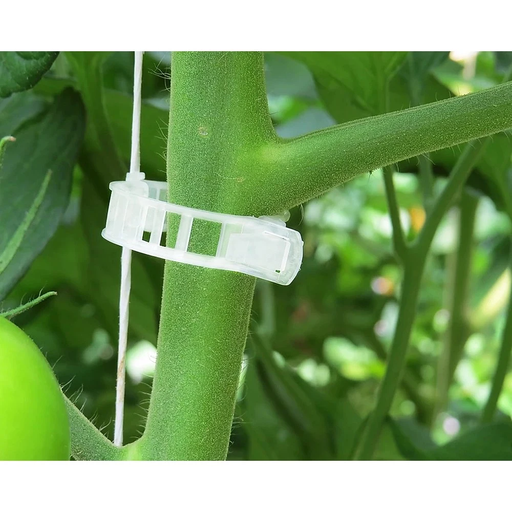 Hydroponic Metal Support Hook Watermelon Grafting Clip