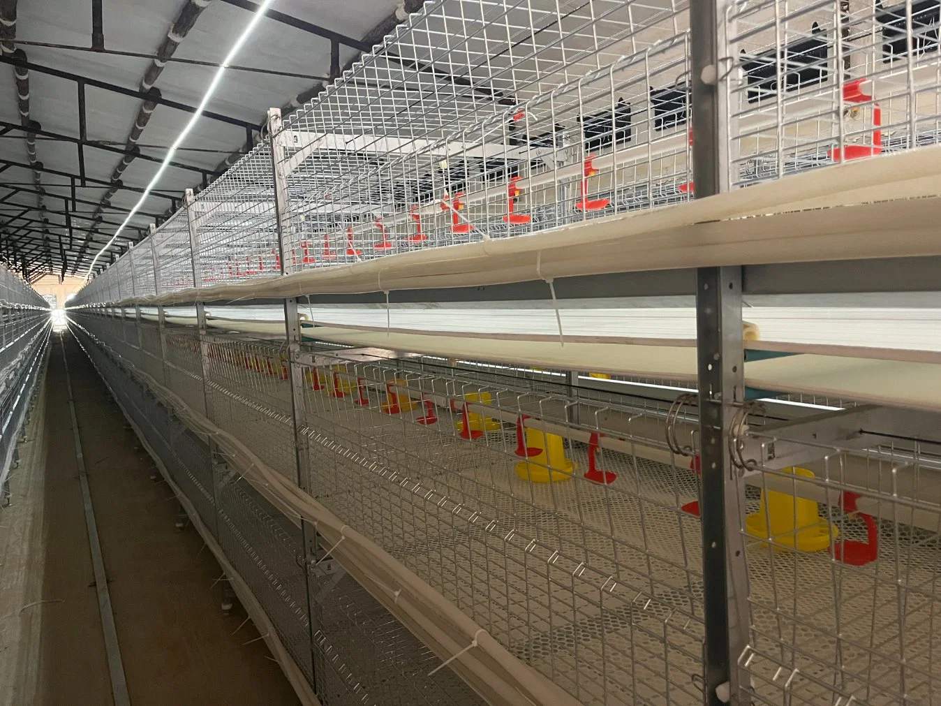 L'élevage de volaille Cage automatique de matériel agricole Système d'alimentation pour les poulets à griller