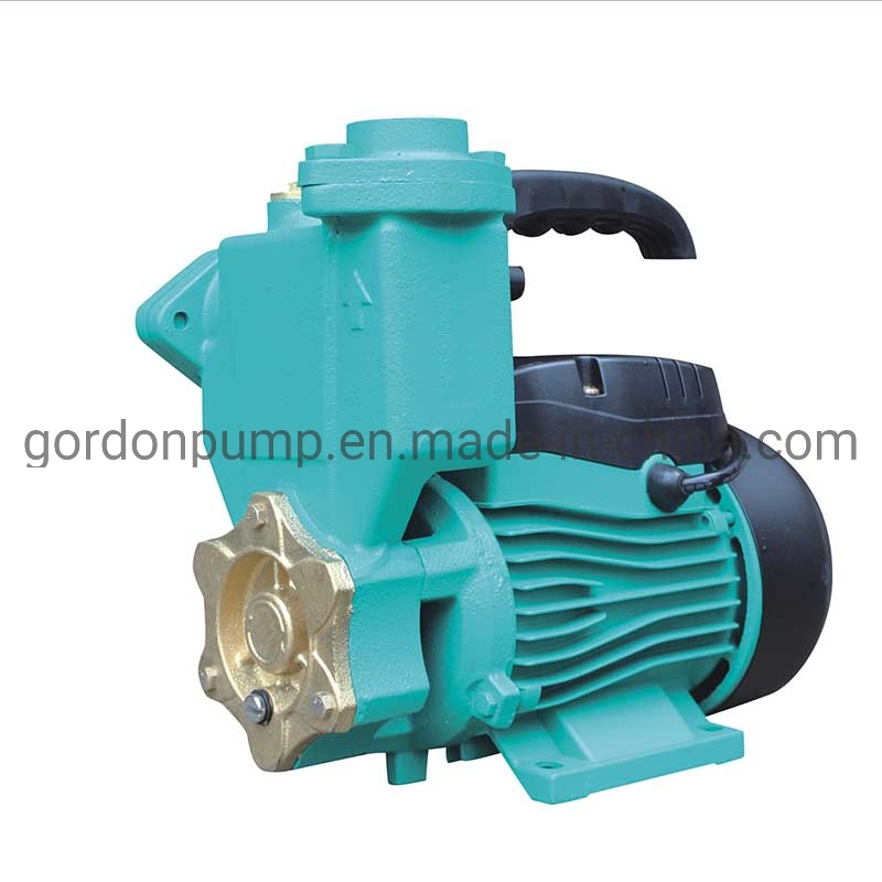 PS128 Surface Water Pumps Electric Power Bomba