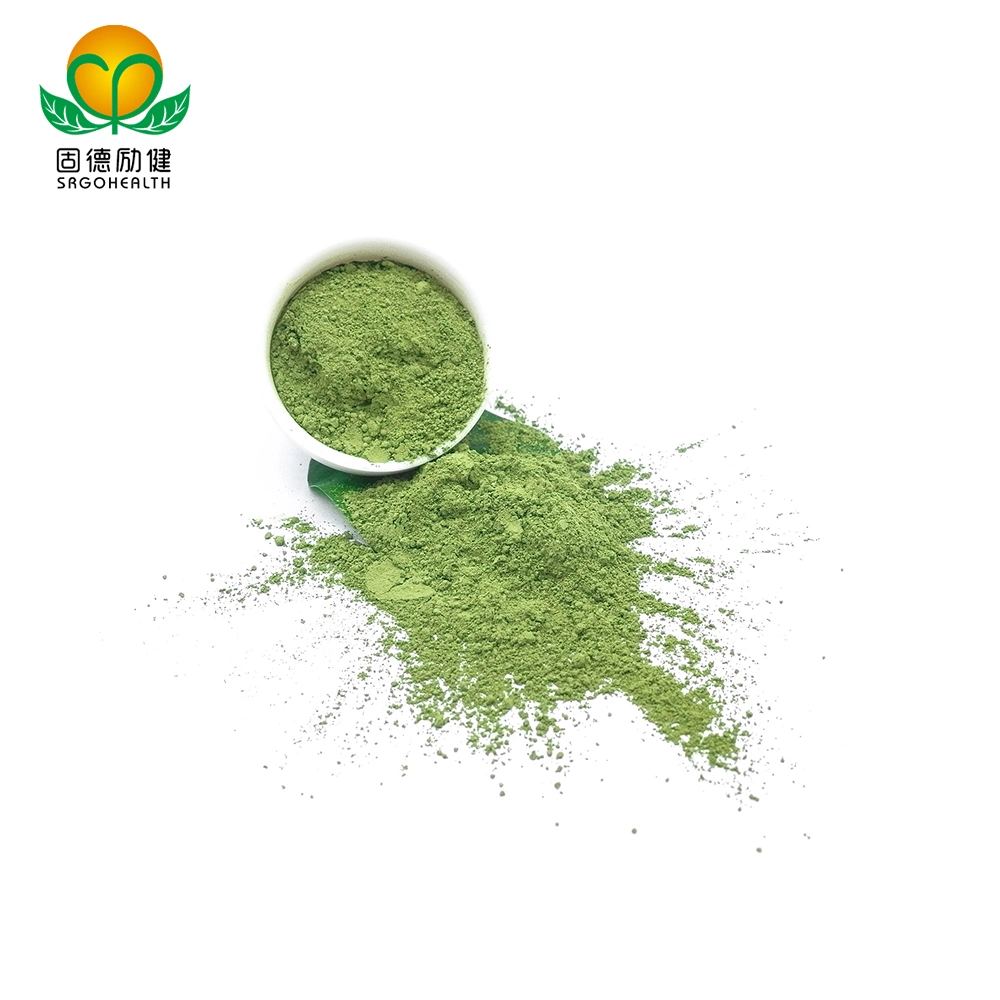 GMP Certificated Water Solubility Barley Grass Juice Powder