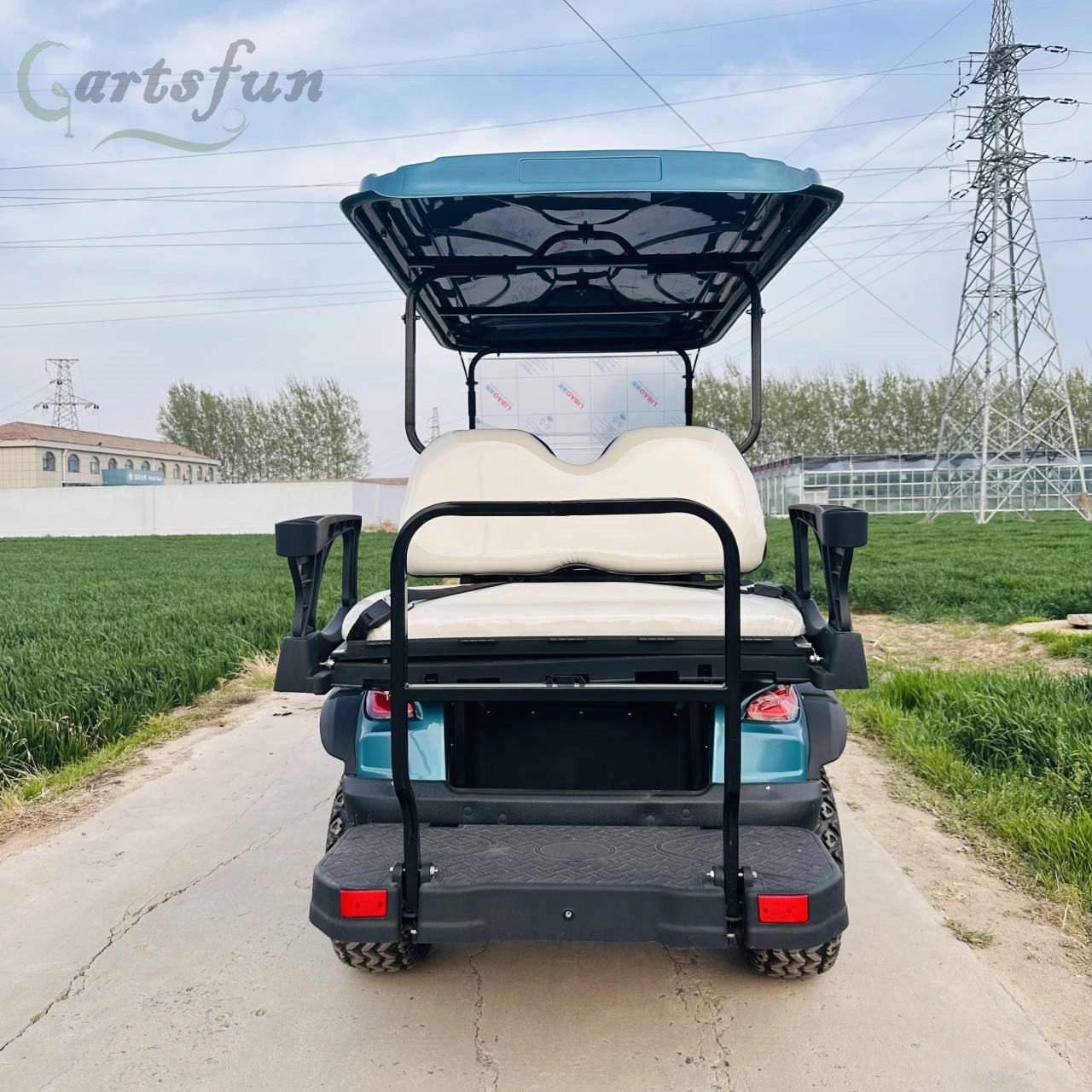 6 Seater 5000W gasoline Power Chinese Electric Golf Cart