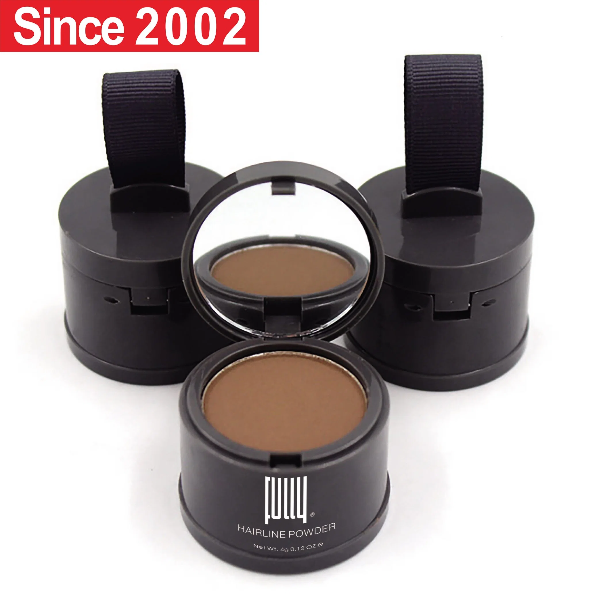 Factory Wholesale/Supplier Price Professional OEM ODM Fully Hairline Powder Hair Loss Concealer for Thinning Hair