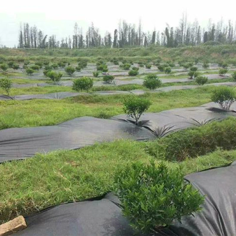 Polypropylene Degradable Garden Agricultural Ground Cover Landscape Fabric Weed Barrier PP Nonwoven Fabric