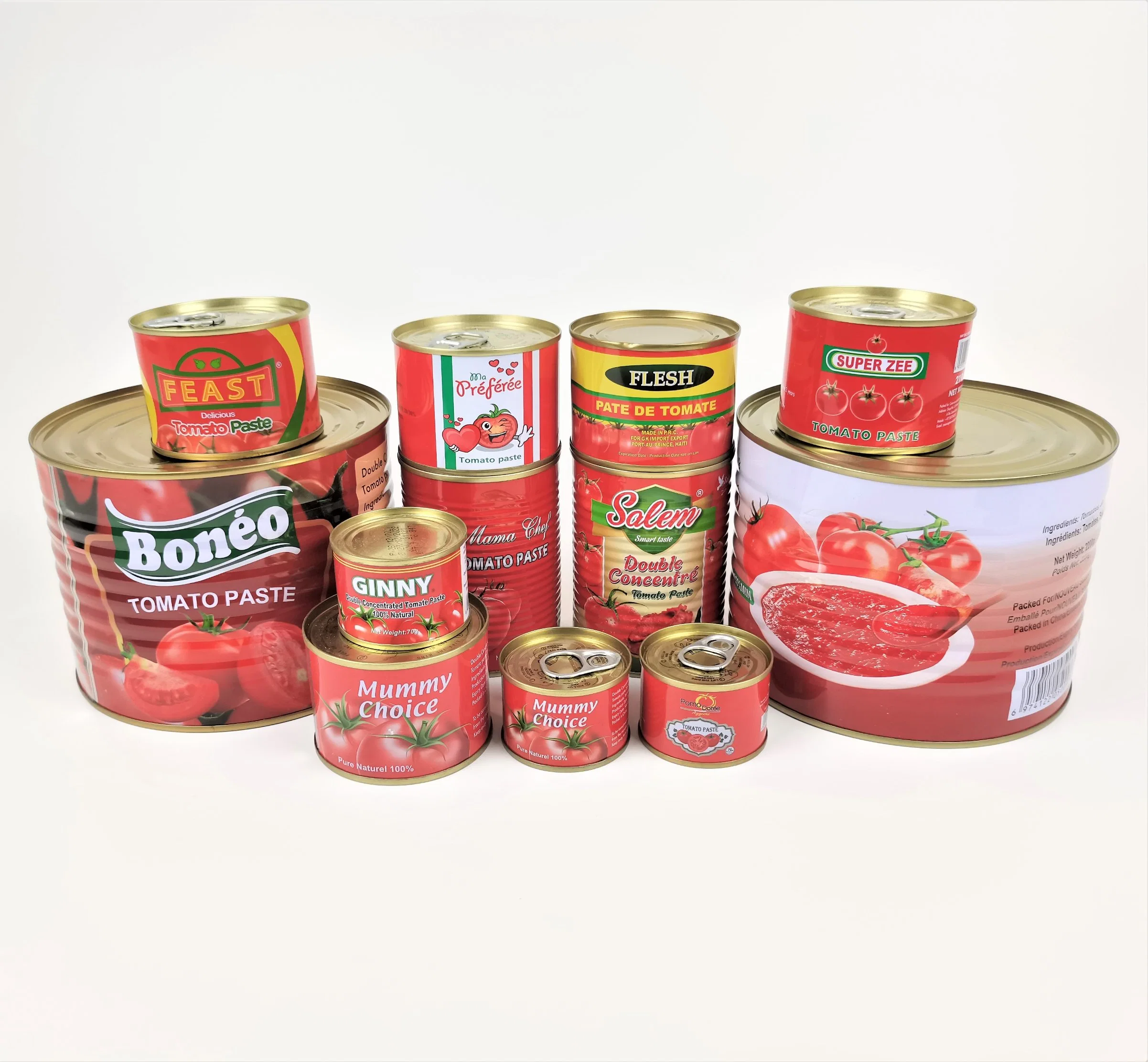 Sarah Tomato Paste Canned Food Tin Tomato Concentrate 400gx24tins for Nigeria Market