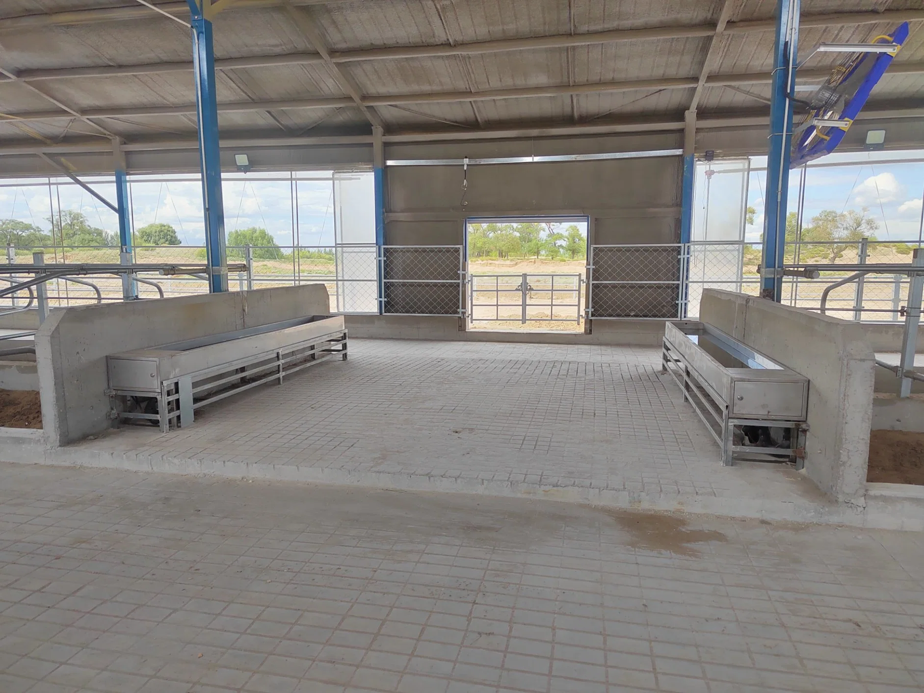 Stainless Steel Thermostatic Drinking Trough for Livestock