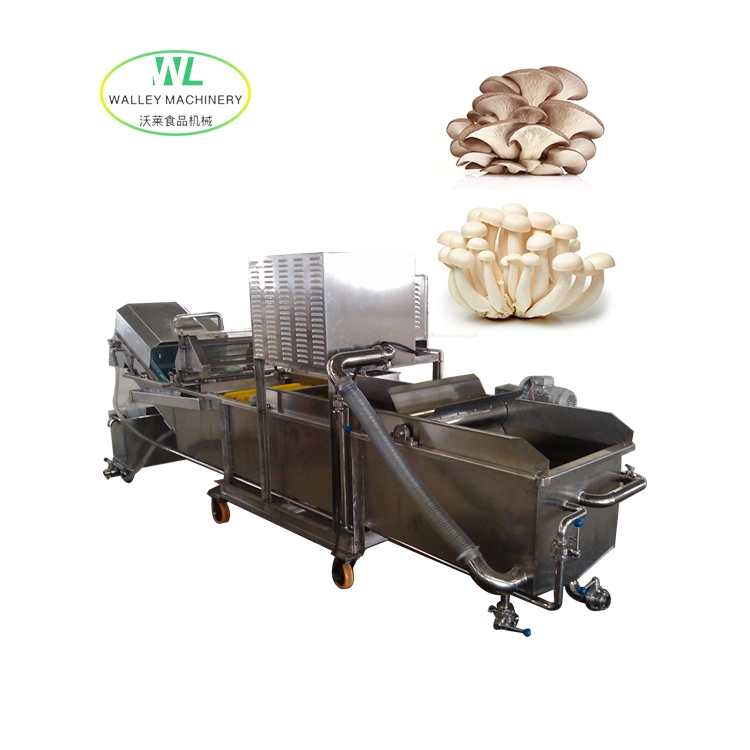 Customizing Multifunctional Bubble Washing Machine for Sale