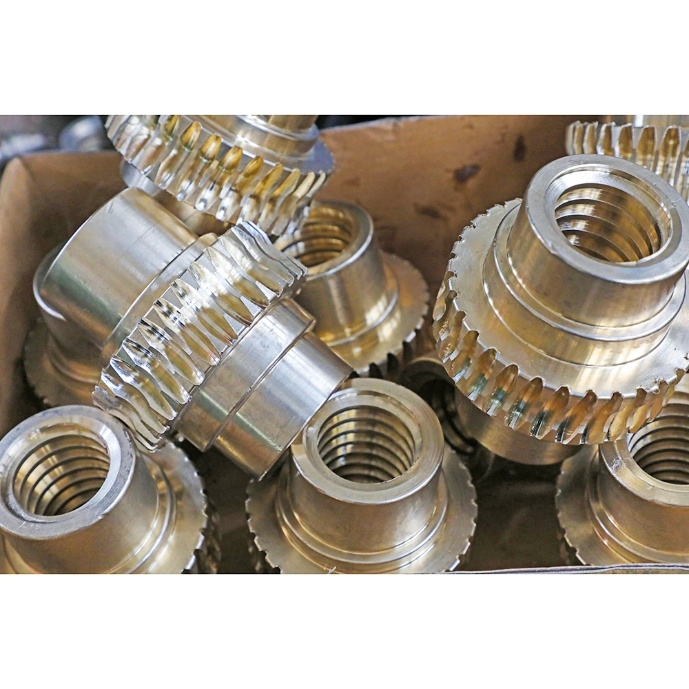 High-Speed Swl Worm Gear Screw Elevator for Rapid Lifting Operations