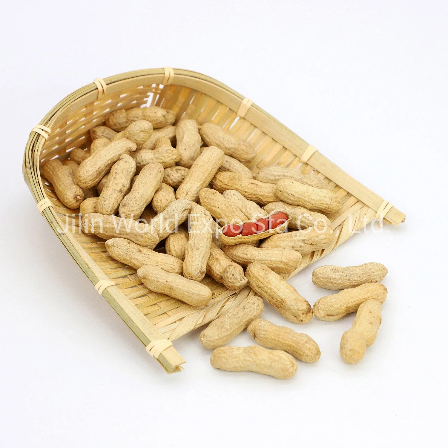 Red Skin Peanut in Shell From Professional Factory to Export