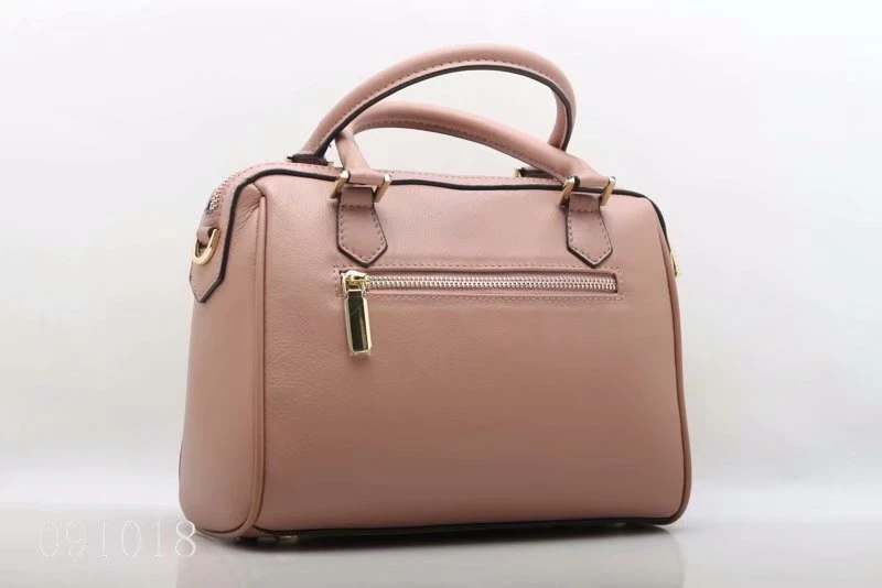 Daily Used Woman Leather Office Handbag (F091018)