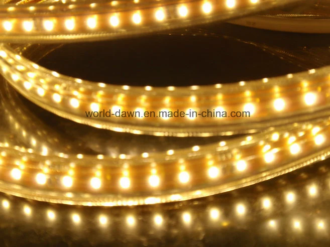 Super Bright 220V 127V SMD3014 Flexible Strip Light IP65 LED Rope Light