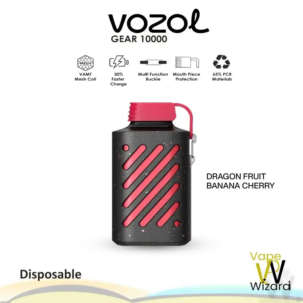 Original Vozol Gear 5000 7000 10000 Puffs Disposable/Chargeable Vape Pen Vape Pod Wholesale/Supplier I Vape