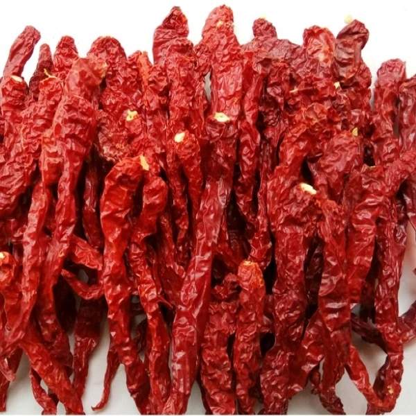 Spicy Condiment Whole Fresh Pick Dried Red Round Red Chilli Red Pepper Low Price