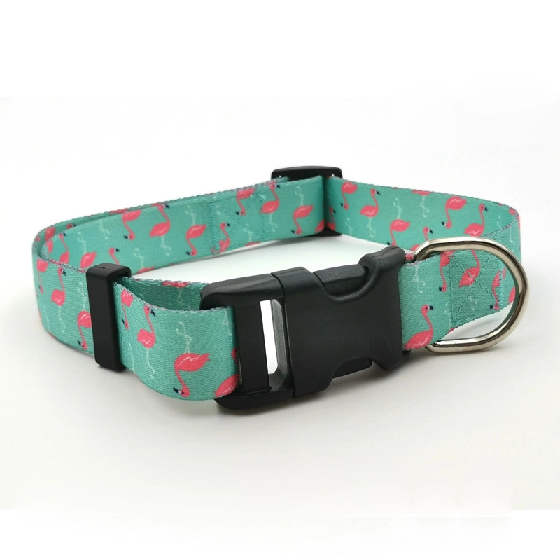 Hot Sale Pet Training Collar Nylon Dog Belt