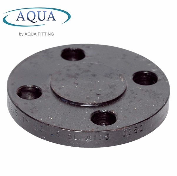 Forging/Casting Flanges Oil/Gas RF Blind Flange Carbon Steel Black Flange