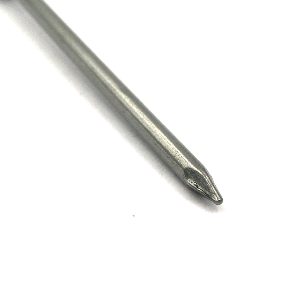 Polished Common Iron Nail