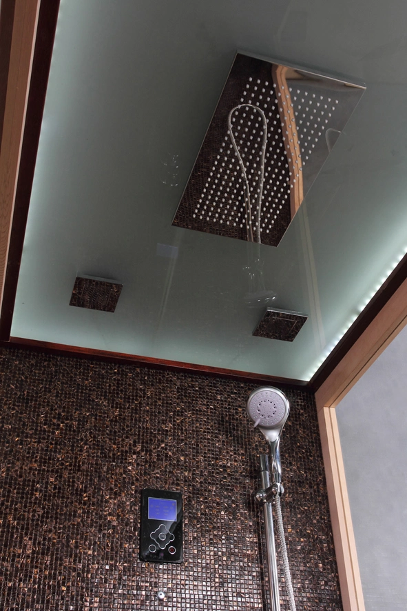 Modern Luxury Indoor Wet Combined Room Steam Shower Cabin Sauna
