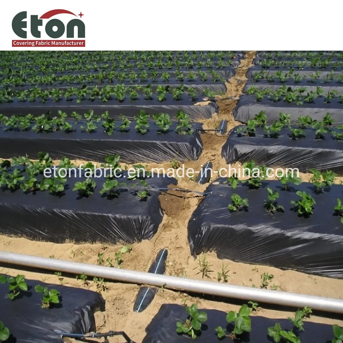 Recyclable Plastic PP Woven Weed Control for Outdoor Usage