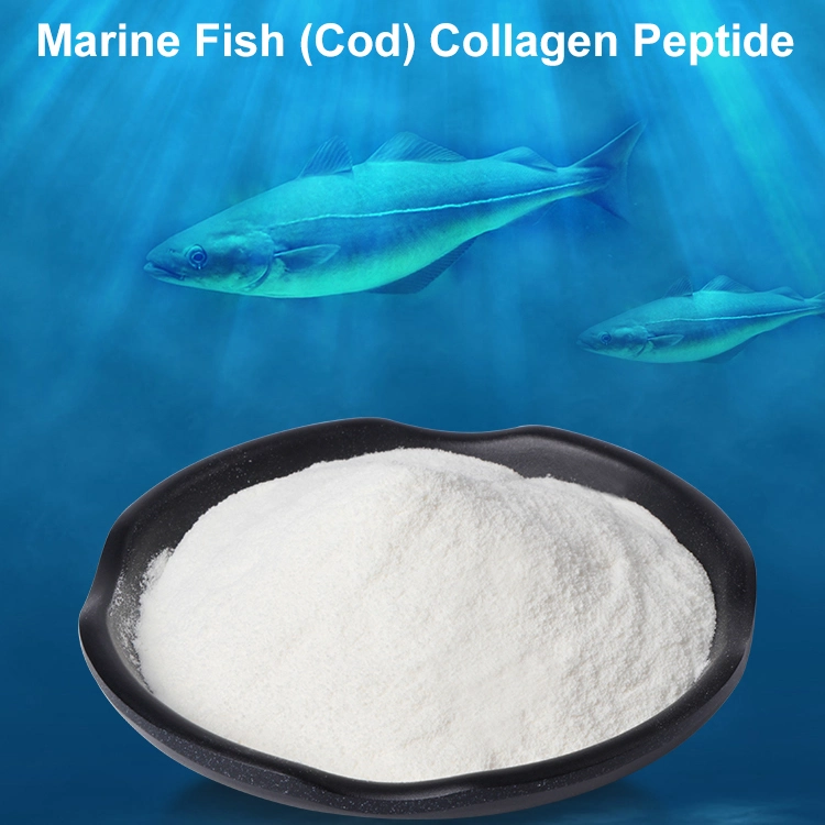 China Food Grade Fish Collagen Peptide Powder From Deep Sea Tilepia Cod