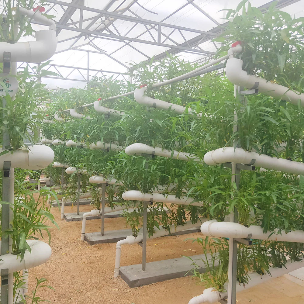 Industrial Agriculture Greenhouse PVC Vertical Hydroponics Growing System with Light/Cooling/Heating System Fan