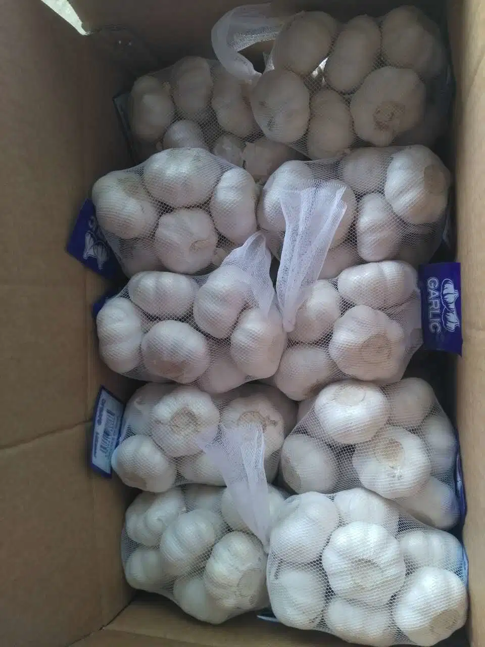 New Crop China White Garlic in Small Package