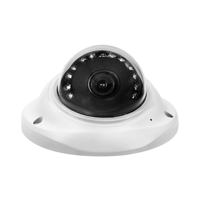 Cámara de seguridad domo de carcasa metálica Mini 4MP IP50 HD