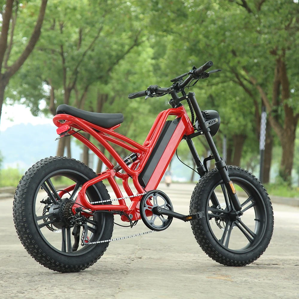 26 Inch Aluminum Alloy Lithium Electric Vehicle New Design Fat Tire Mountain Lithium Electric Bike