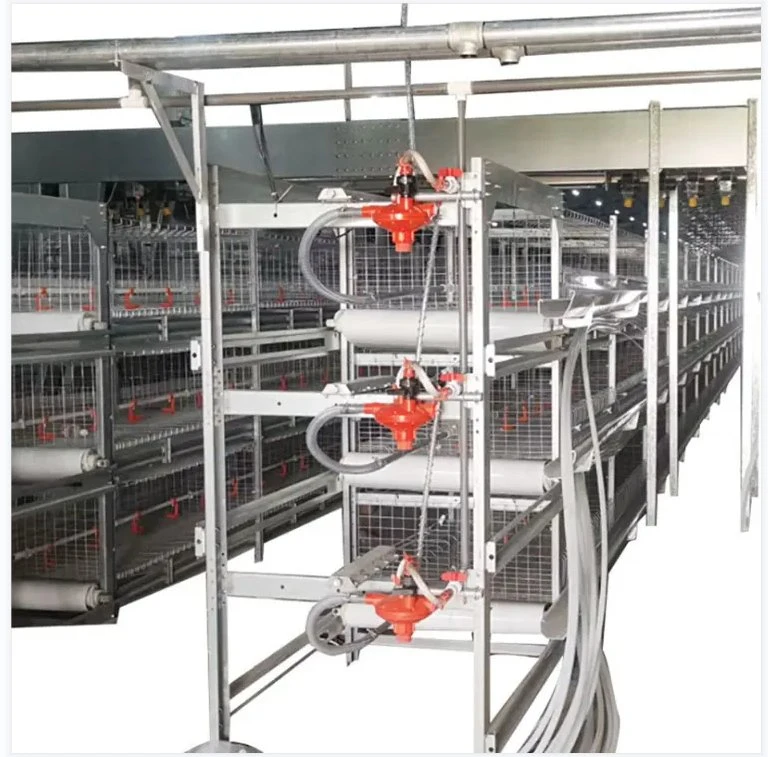 Egg Layer Farming Equipment H Typ voll automatische Batterie Huhn Geflügelkäfig