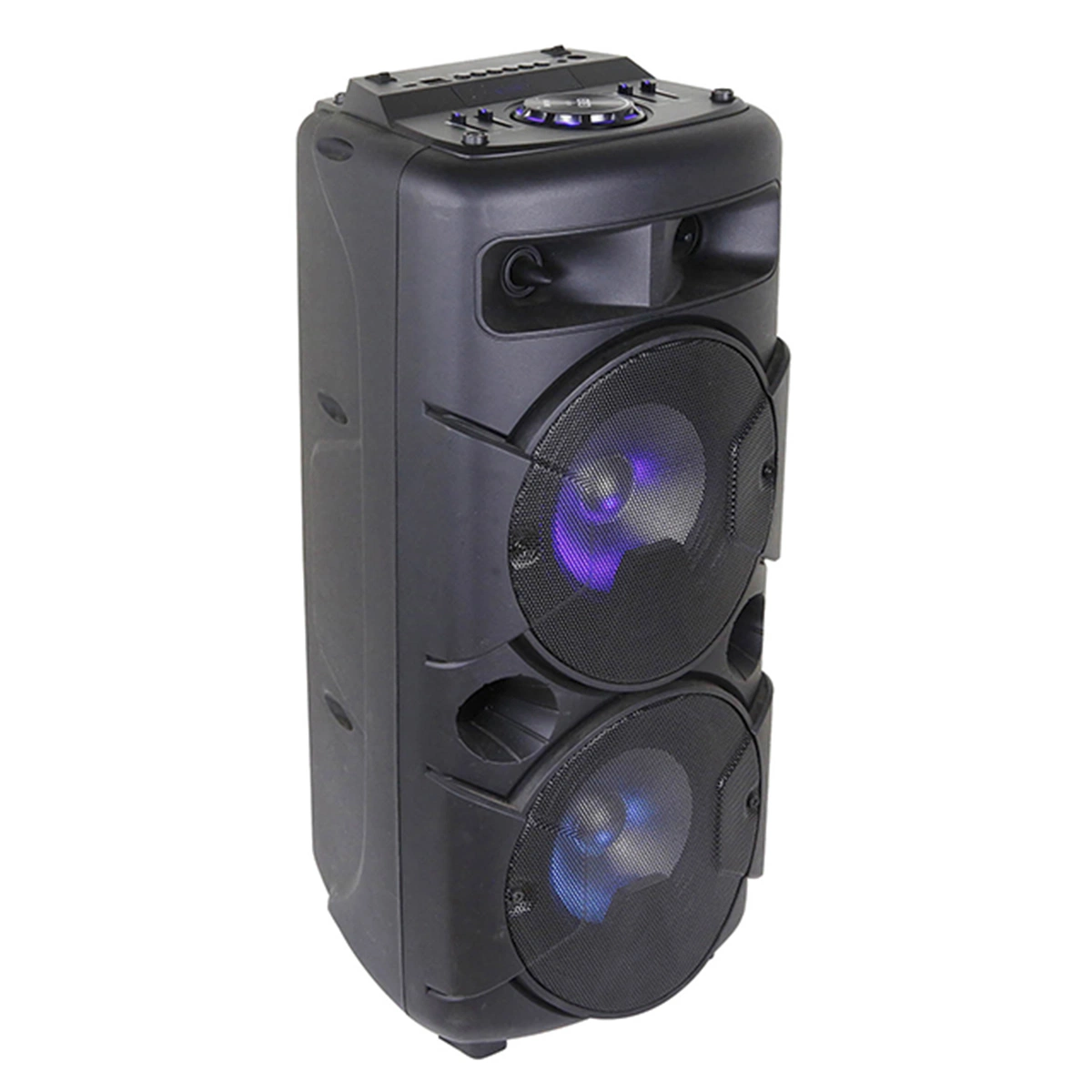 2023 New Style Powered Audio Box Portable Speaker with LED Light Dual 6.5 Inch Woofer Bluetooth Wireless Speaker