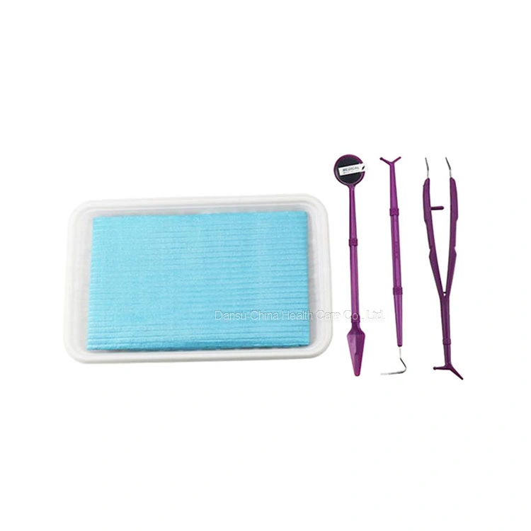 Chine OEM Kit d'hygiène dentaire jetable Kit de nettoyage orthodontique Home Use instruments dentaires 3 PCS Tool Oral Care PB, Mirror, pince Kit d'examen