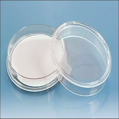 Petri Dish Uses in Laboratory