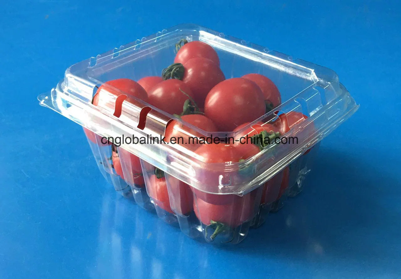 Food Grade Plastic Fruit Packaging Container for Tomatoes 250 Grams FDA Approvel