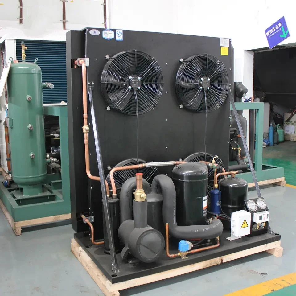 Equipamento de refrigeração para compressor de espiral para a sala de armazenamento a frio