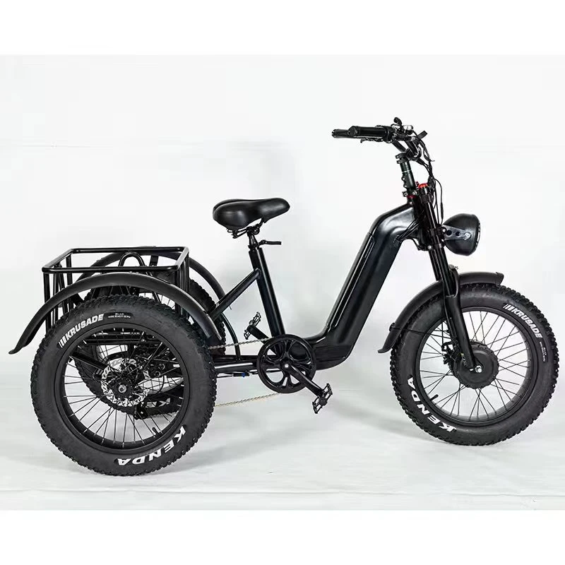 48V 500 واط داخل هيكل الإطار 20" ′ *4.0 Fat Tire Trike كهربائي مع شاشة TF Ourmrter S500 الذكية LCD