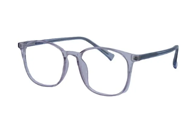 Delicate Plastic Reading Glasses for Women and Men