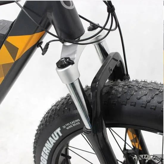 New Design Electric Snow Fat Bike with Suspesion 1000W Motor