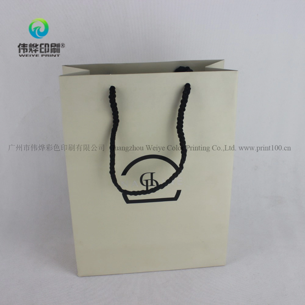 Custom Packaging Printing Paper Gift Bag