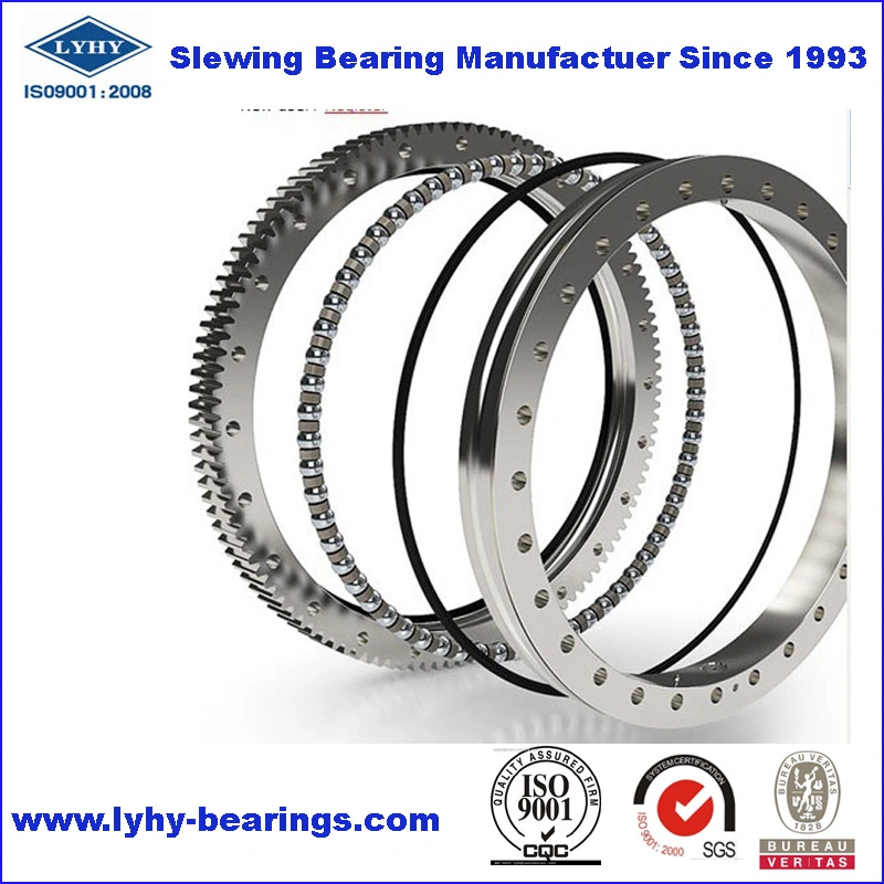 External Gear Slewing Ring Bearing Slewing Gear for City Crane 1787/800g2