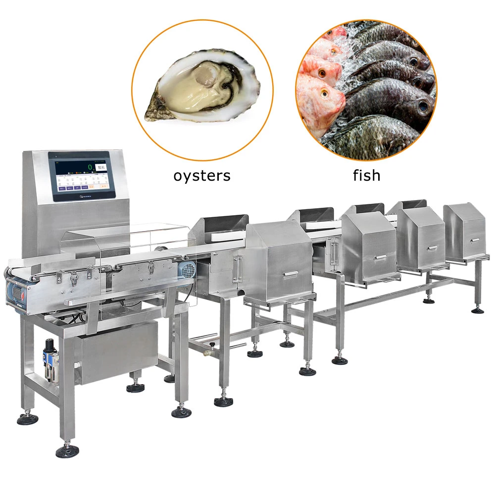 Tt-Wgm-01 Machine de tri automatique des poids des poissons homard pour fruits de mer aux crevettes