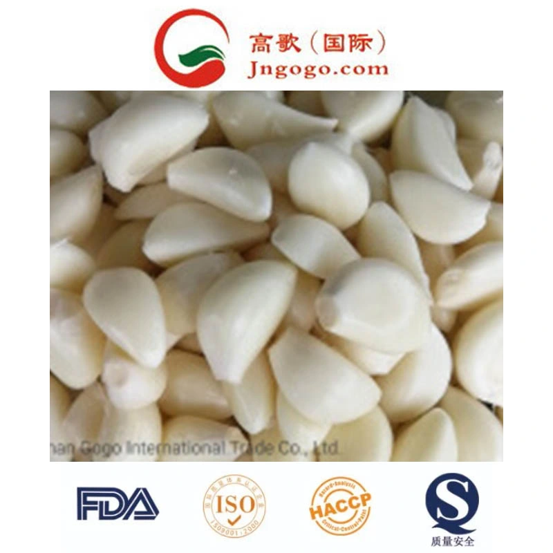 New Crop Fresh Pure White Garlic Fresh Garlic Supplier