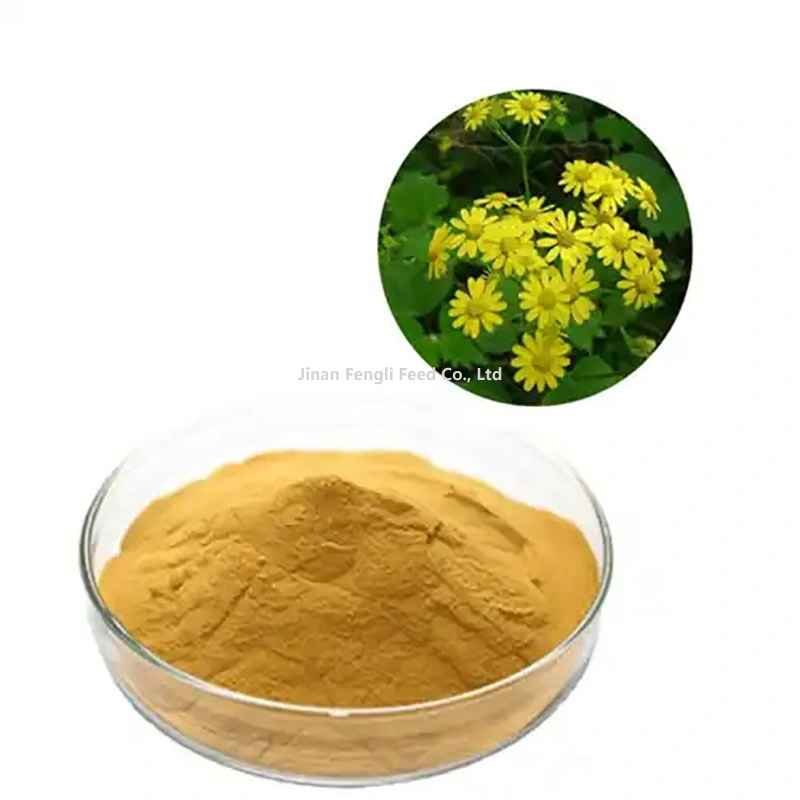 Factory Supply High quality/High cost performance  Natural Chrysanthemum Extract Fine Brown Yellow Powder